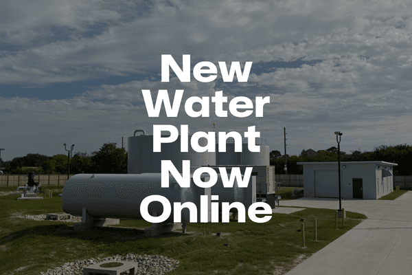 NewWaterPlantOnline