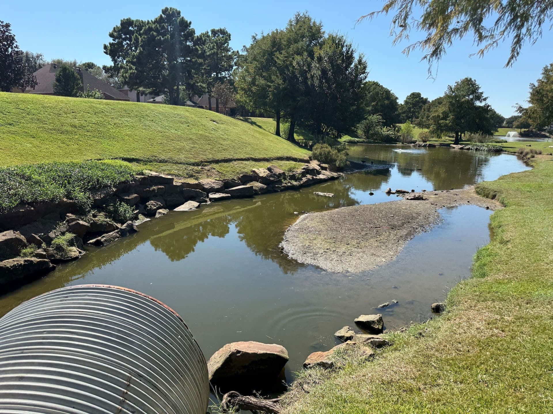 PondRestorationAfter