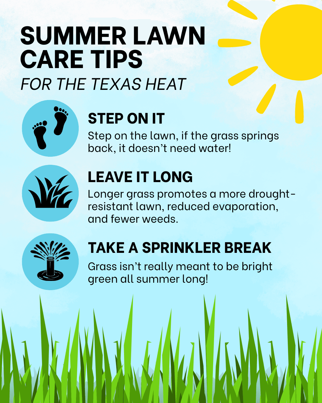 SummerLawnCareTips.png